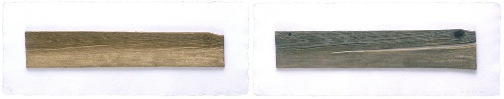 Ed Ruscha, NEW WOOD,  OLD WOOD, 2007