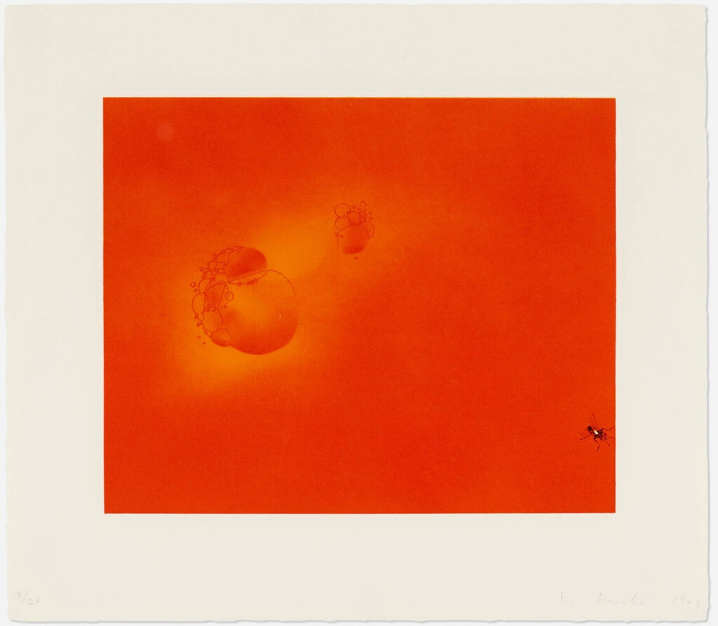 Boiling Blood, Fly, image 1