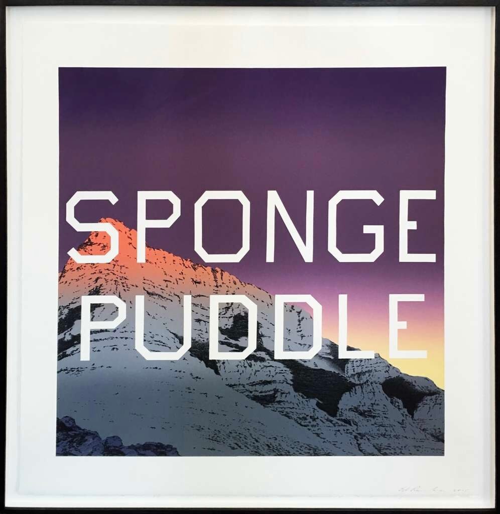 Sponge Puddle, image 1
