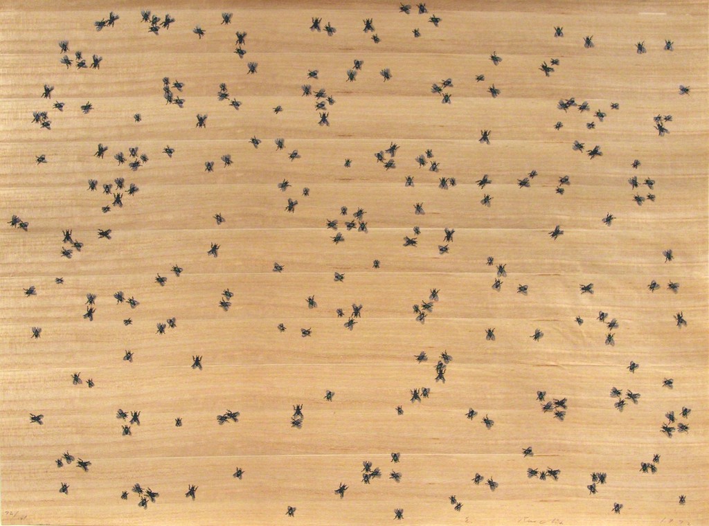 Ed Ruscha, Insects, Flies, 1972