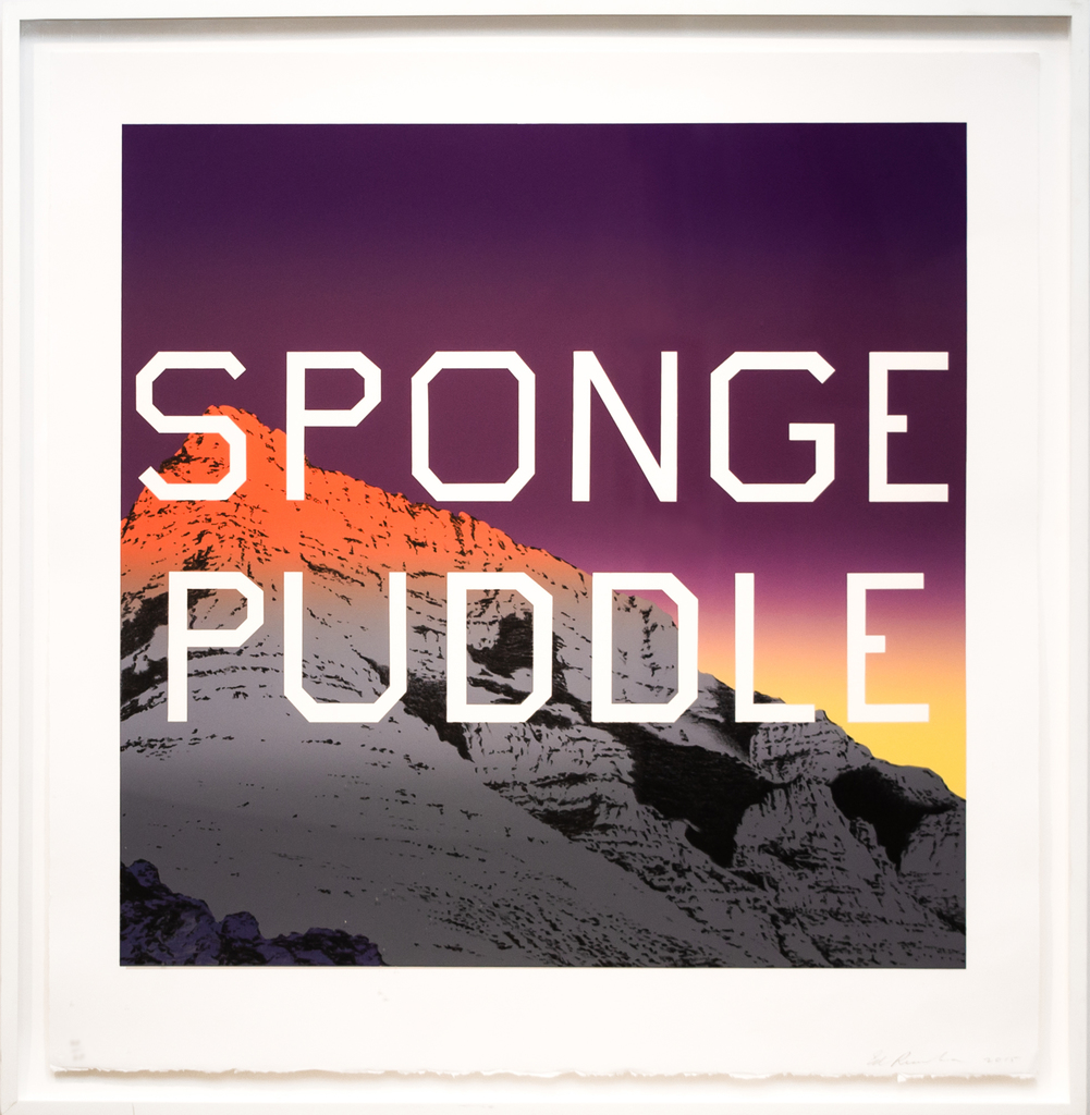 Sponge Puddle，图片 1