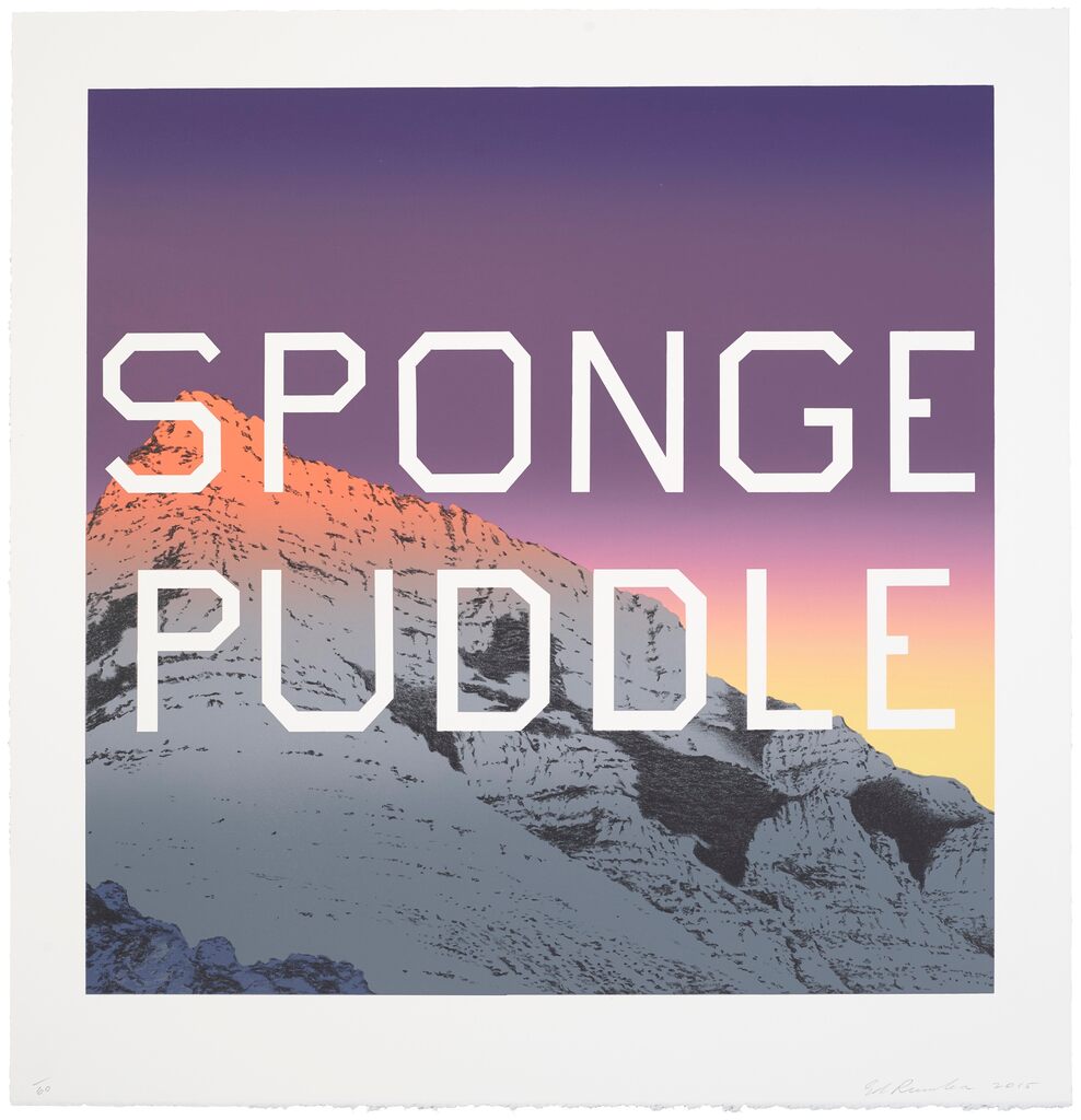 Sponge Puddle, bild 1