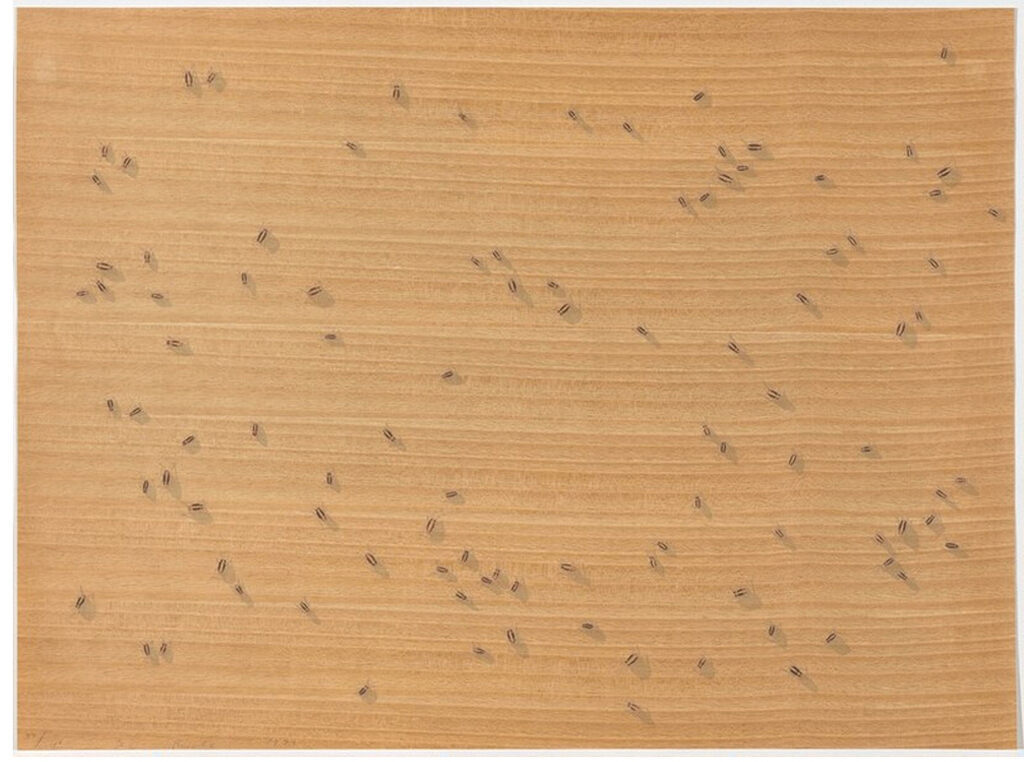 Ed Ruscha, Cockroaches from the Insects Portfolio, 1972
