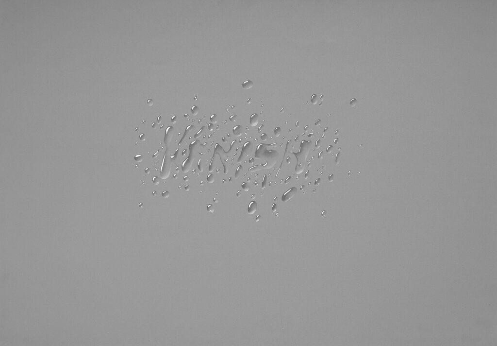 Vanish, 이미지 1
