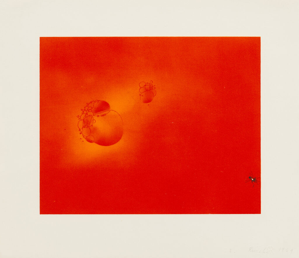 Boiling Blood, Fly