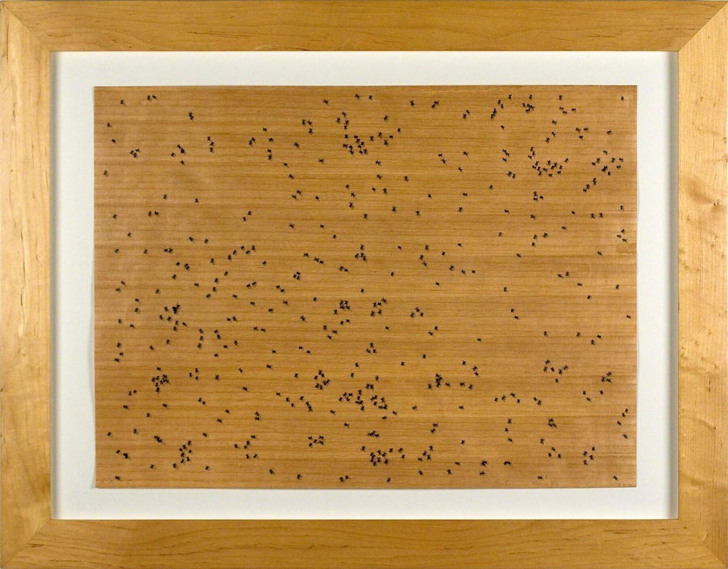Ed Ruscha, Black Ants, 1972