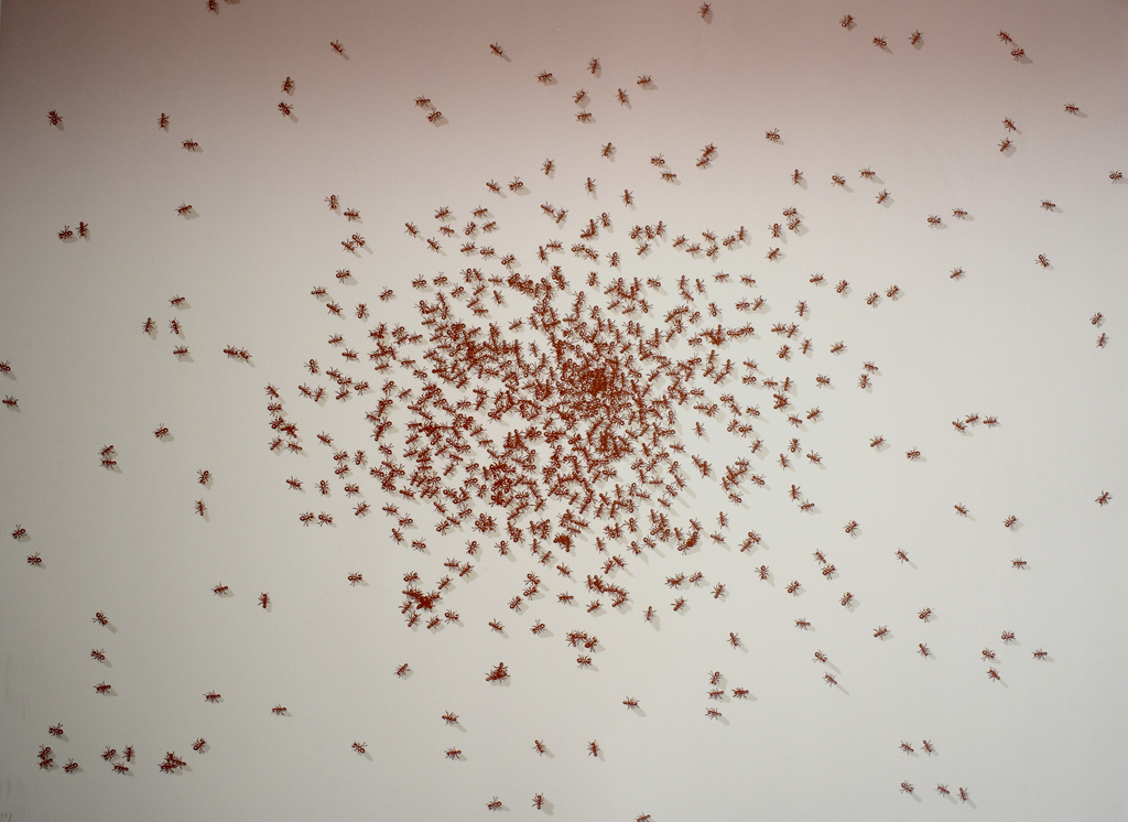 Ed Ruscha, Swarm of Red Ants, from: Insects, 1972