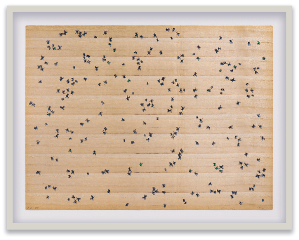 Flies, image 1