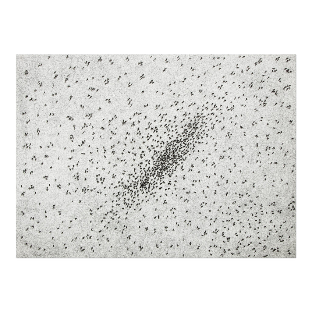 Ed Ruscha, Insect Slant (Ants), 1973