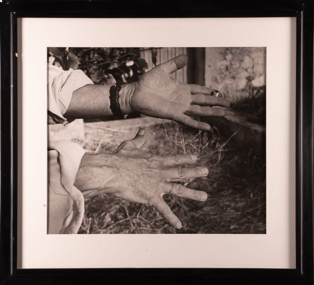 Pablo Picasso, Picasso's Hands, 1954
