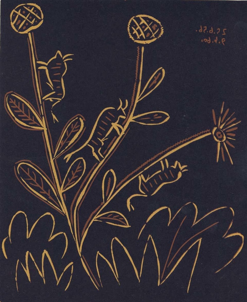 Plante aux Toritos, image 1