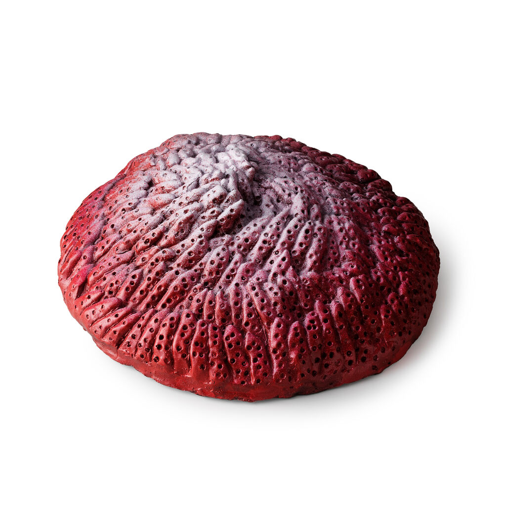 Strawberry 1, image 1